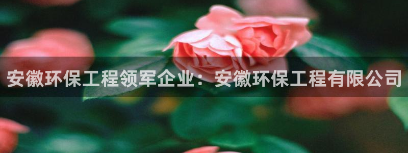 彩名堂计划怎么打不开了：安徽环保工程领军企业：安徽环保工程有限公司