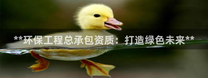 彩名堂免费计划5.0使用方法：**环保工程总承包资质：打造绿色未来**