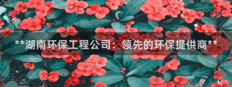 彩名堂安卓客户端官网下载安装：**湖