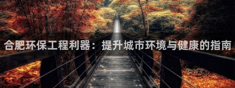 彩名堂预测软件与分析软件区别：合肥环保工程利器：提升城市环境与健康的指南