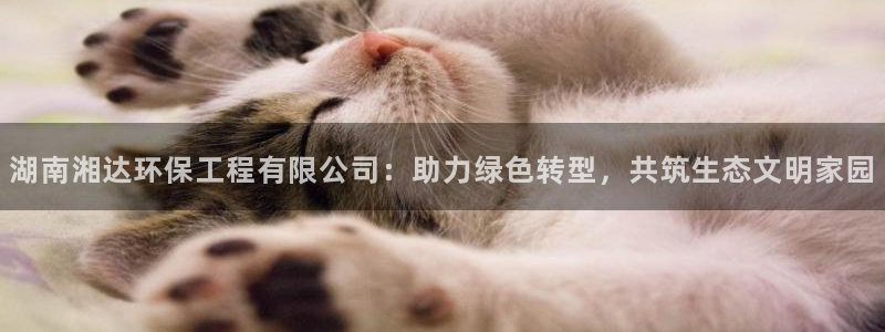 彩名堂旧版本：湖南湘达环保工程有限公