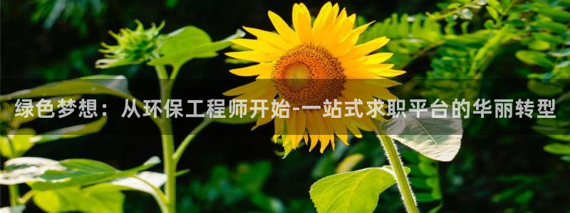 彩名堂使用方法和用量：绿色梦想：从环