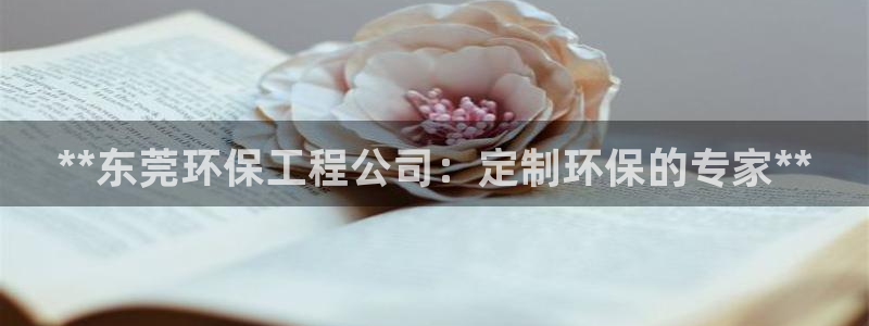 彩名堂计划怎么跟不挂：**东莞环保工