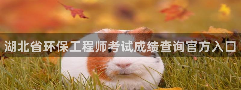 彩名堂苹果客户端怎么下载：湖北省环保