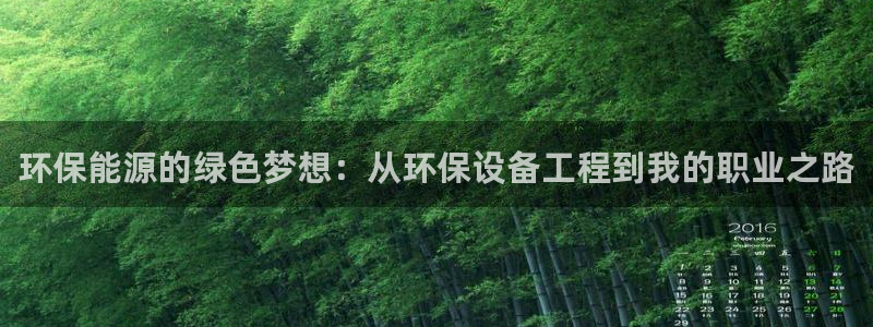 老版彩名堂：环保能源的绿色梦想：从环保设备工程到我的职业之路