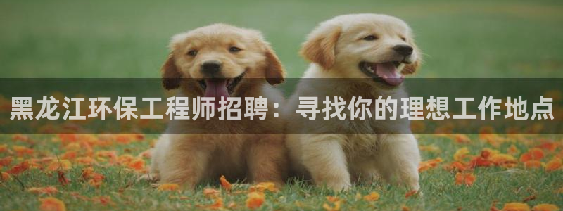 彩名堂不能用了吗：黑龙江环保工程师招
