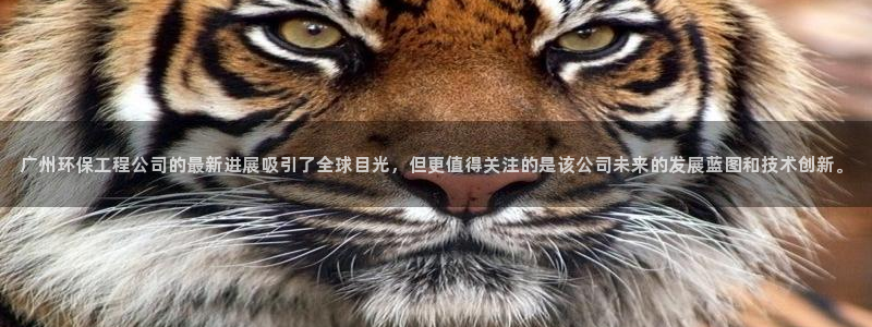 彩名堂4.3：广州环保工程公司的最新