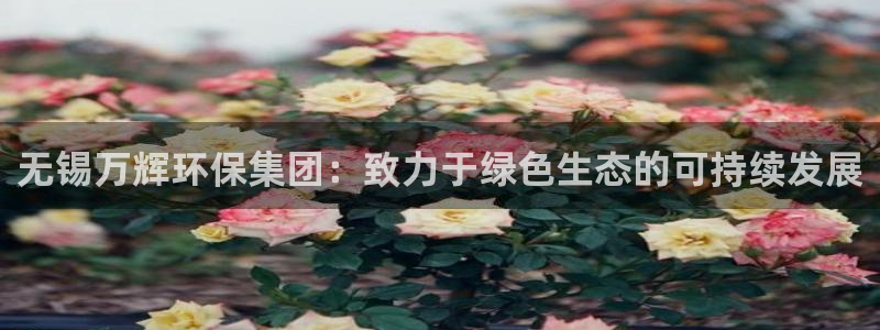 彩名堂最新预测3d：无锡万辉环保集团