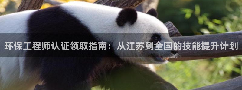 彩名堂免费计划官网50下载957：环保工程师认证领取指南：从