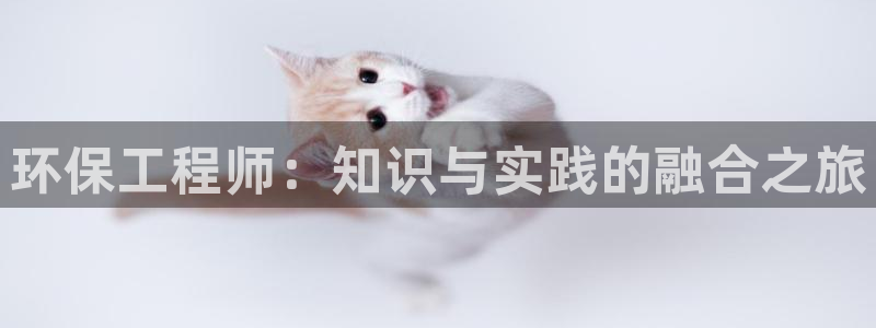 彩名堂最新免费计划官网：环保工程师：知识与实践的融合之旅