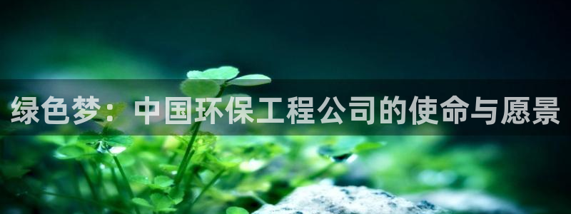 彩名堂5.0!：绿色梦：中国环保工程公司的使命与愿景