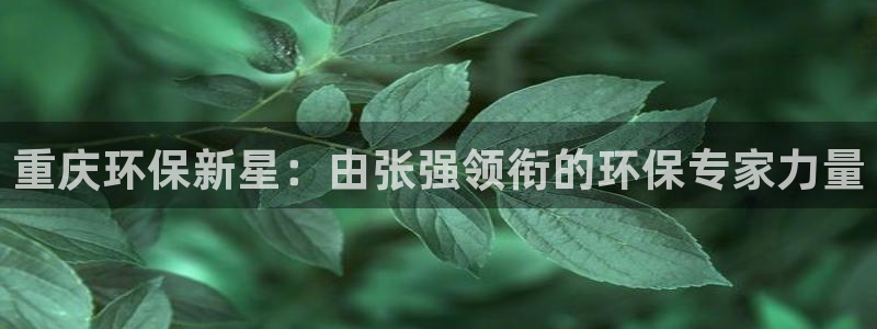 彩名堂一直不出结果怎么回事呀：重庆环保新星：由张强领衔的环保