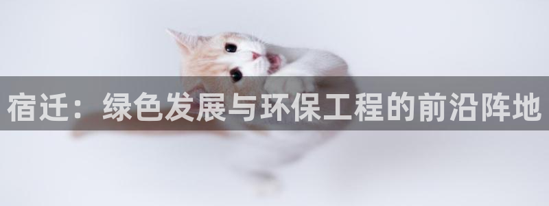 彩名堂官网计划客户端：宿迁：绿色发展与环保工程的前沿阵地