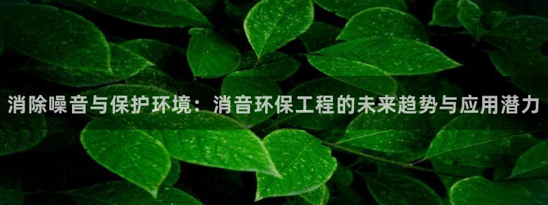 彩名堂改名稻草人了吗：消除噪音与保护