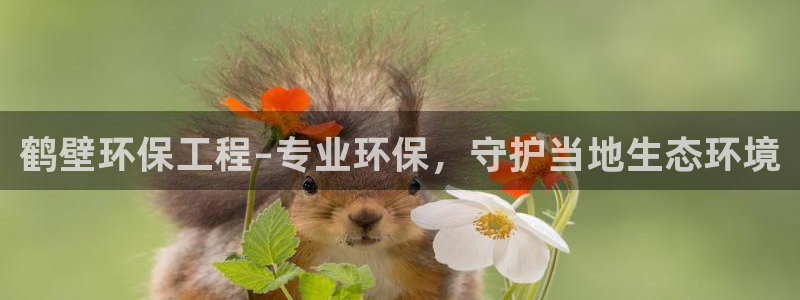 彩名堂不能用了吗：鹤壁环保工程–专业