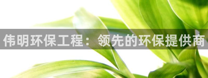 彩名堂官网2：伟明环保工程：领先的环保提供商